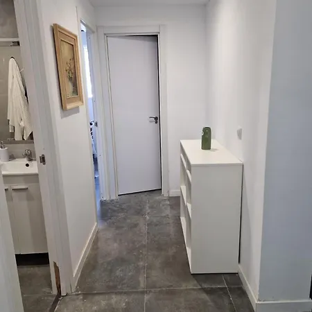 Ayora Проживание в семье *